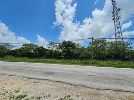 RENTA DE TERRENO DE 2,329 M2 SOBRE LA CARRETERA DE DZITYA