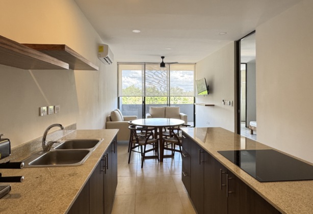 NUEVO DEPARTAMENTO DE 2 RECAMARAS CON BAÑO AMUEBLADO Y EQUIPADO CON AMENIDADES